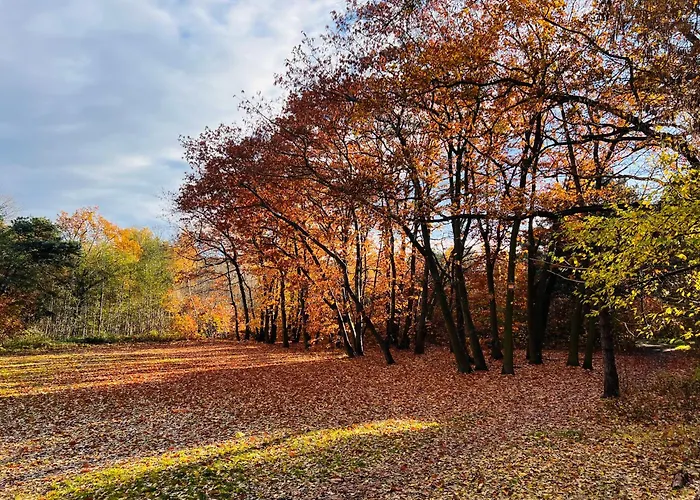 Bursztynowa Zatoka 格但斯克