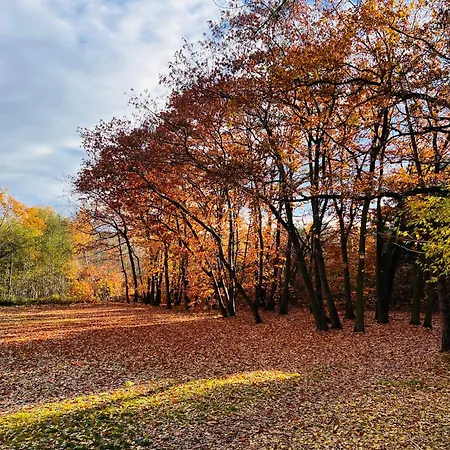 Bursztynowa Zatoka Gdaňsk